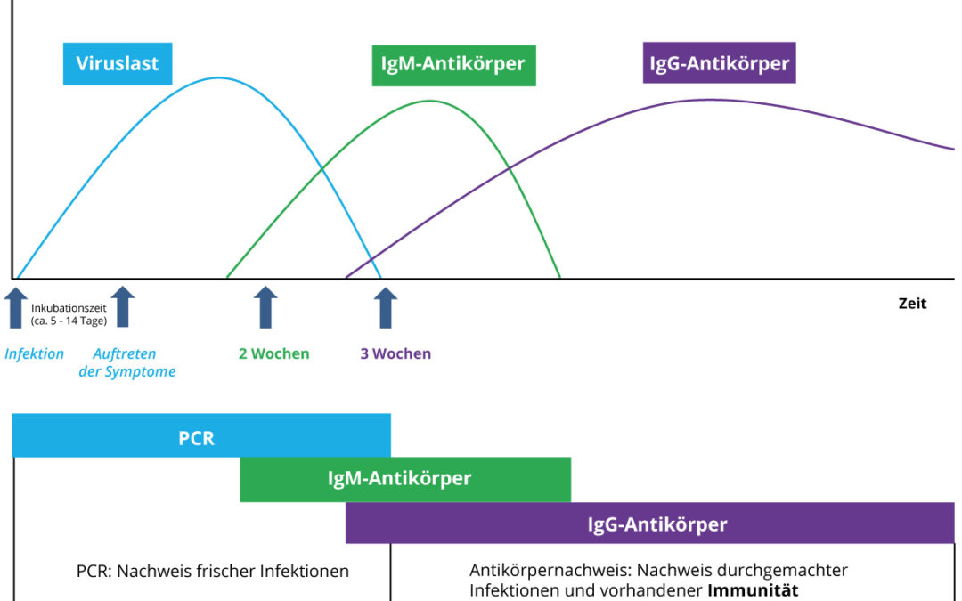SARS-CoV-2-Antikörpertest (IgG/ IgM)