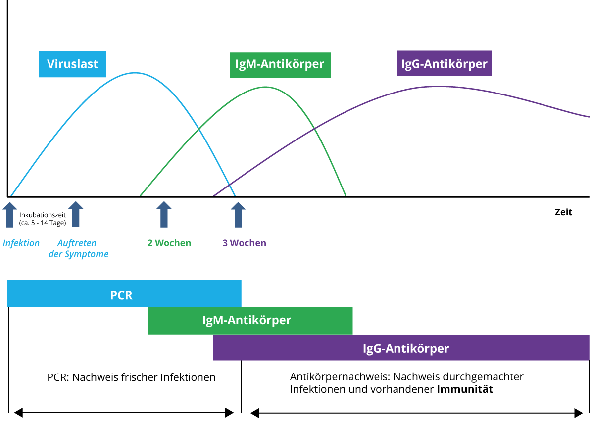 Частоты кондиционера IGG. Когда появляются IGM. Доход компании IGG. Кондиционер IGG.